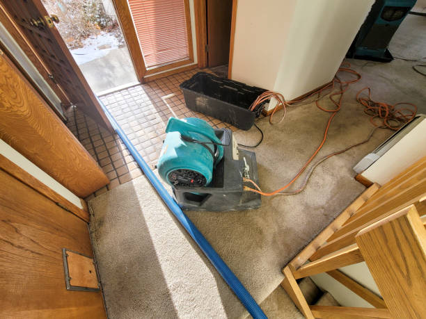 Best 24-hour water damage restoration  in Dauphin Island, AL