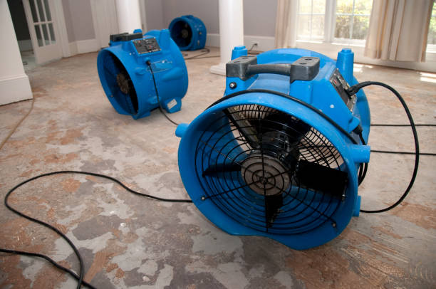 Best Ceiling water damage repair  in Dauphin Island, AL