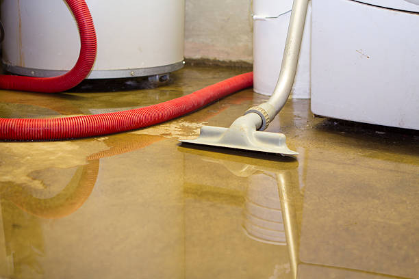 Best 24/7 water damage repair  in Dauphin Island, AL
