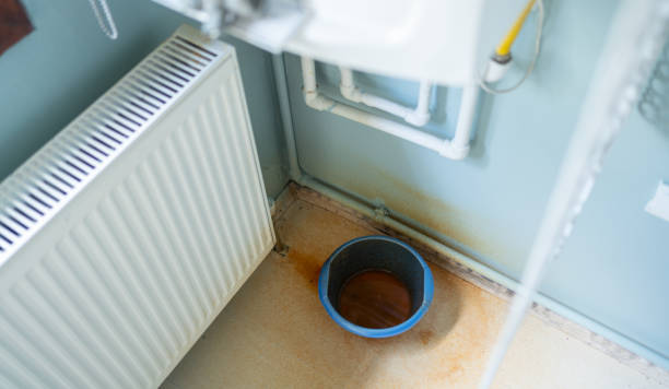 Best Basement water damage restoration  in Dauphin Island, AL