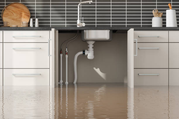 Best Carpet water damage restoration  in Dauphin Island, AL