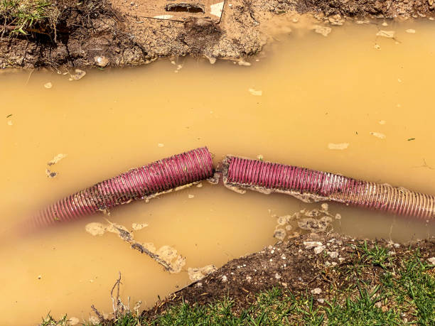 24/7 water damage repair in Dauphin Island, AL